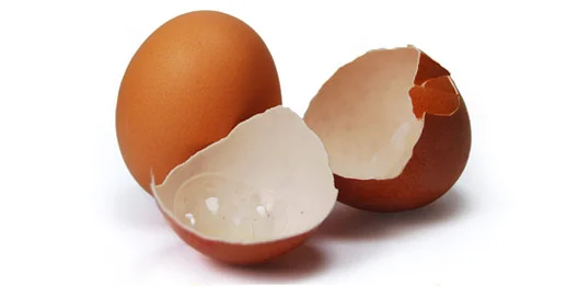 Are Eggshells Good for Septic Systems?